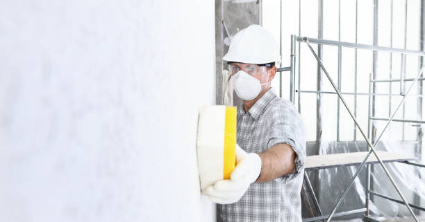 Mold Removal & Remediation