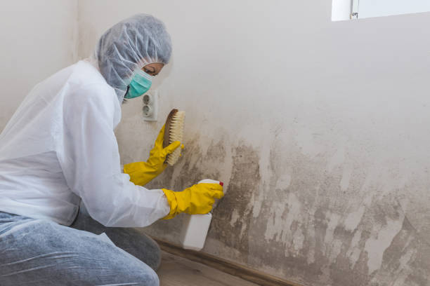 Best Asbestos and Lead Testing During Mold Inspection  in North Spearfish, SD