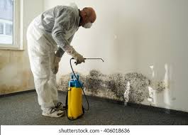 Professional Mold Removal & Remediation in North Spearfish, SD